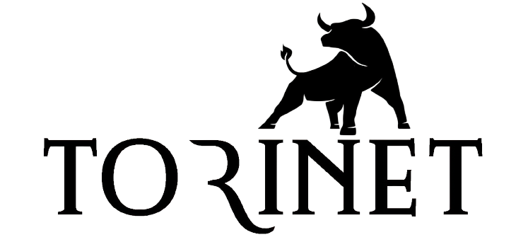 Torinet