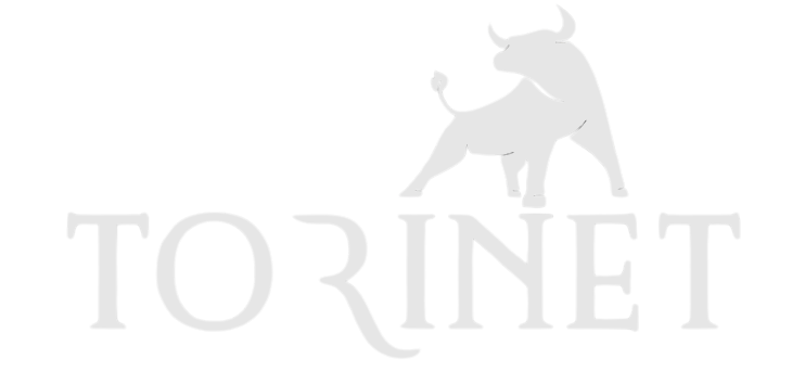 Torinet